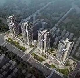 和成金竹家园
