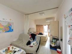 万象天成 1室1厅43m²整租