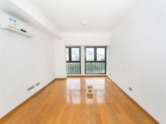 星河盛世花园 1室0厅51m²整租