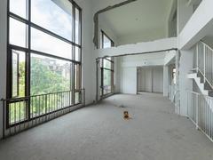 观湖园 9室3厅248.24m²整租