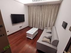 星河智荟花园 2室1厅68.41m²整租