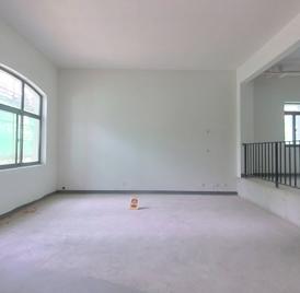 半岛一号梵高岛 6室2厅301.97m²毛坯