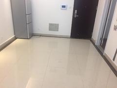 信义御城 2室1厅49m²整租