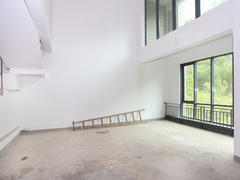 雅居乐铂爵山一期 4室2厅217m²满五年