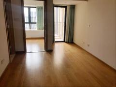 龙城金地中心 1室1厅43.43m²精装修