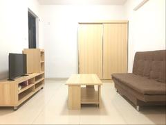 大冲新城花园C区 （新上）精装修 保养不错 南北通透 看房方便