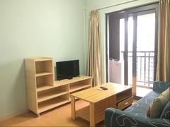 大冲新城花园C区 （新上）精装修 保养不错 南北通透 看房方便