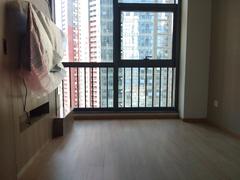 龙岗仁恒梦公园 1室1厅26.9m²整租