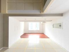 世金汉宫 1室1厅51m²整租