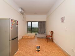 乐城 1室1厅34.47m²精装修
