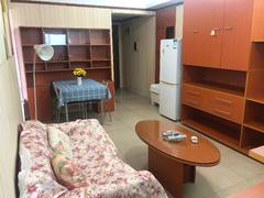 城市天地广场 1室2厅52m²整租