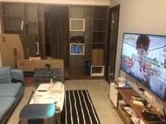 前海时代 1室2厅50m²整租