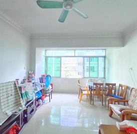 白莲新村 3室2厅92.3m²满五年
