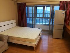 佳兆业大都汇 1室0厅40m²整租