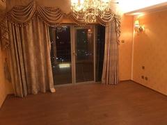 佳兆业大都汇 1室0厅105m²整租