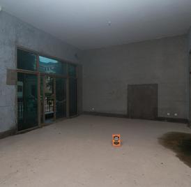 公园大地十期 6室2厅260.54m²满五唯一