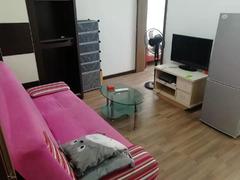 金城华庭 1室1厅36m²整租