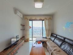 坤祥花语岸 家私家电齐全 近地铁 环境优美 随时看房