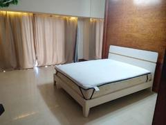 港岛银座 1室0厅35m²整租