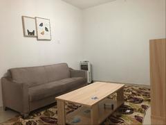 大冲新城花园C区 （新上）精装修 保养不错 南北通透 看房方便