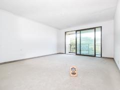 山语清晖花园 4室2厅192.4m²精装修