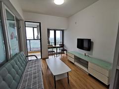 诺德国际 2室1厅50.05m²满五唯一