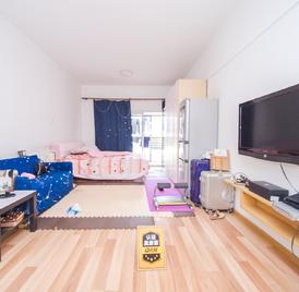 硅谷别墅三期 1室0厅44.02m²精装修