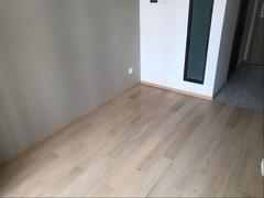 龙岗仁恒梦公园 1室1厅28m²整租