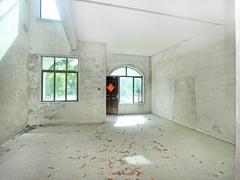 东城花园 5室2厅276.19m²满五年