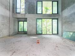 金城大第花园二期 6室2厅4厨1卫 256.0m² 整租