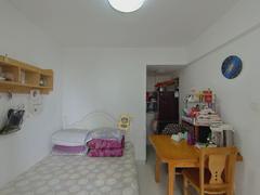 庐阳团结新村 1室1厅30.78m²精装修