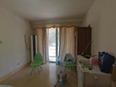 梧桐山新居一期 1室1厅28.5m²整租