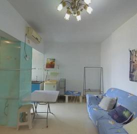 九洲时代 1室1厅43.5m²整租