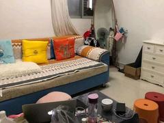新丰大厦 1室1厅46m²整租