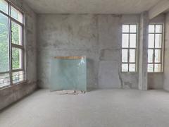 名爵观园 4室2厅291m²毛坯