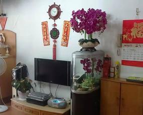 锦洲花园租房