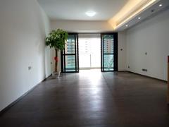 华润银湖蓝山 4室1厅183m²整租