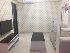 大冲新城花园C区 （新上）精装修 保养不错 南北通透 看房方便