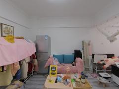 求实领势学府 2室1厅47.51m²精装修