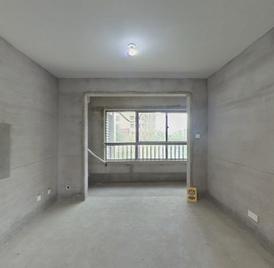信达万振东方樾府 3室2厅101.59m²毛坯