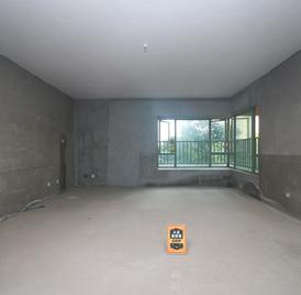 公园大地十期 5室2厅185.42m²满五唯一
