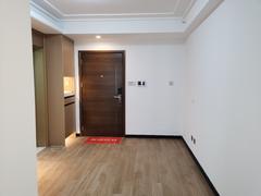 龙城金地中心 1室1厅43.32m²精装修