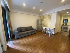 蛇口花园城三期 1室1厅65.65m²整租