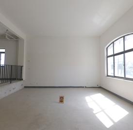 半岛一号梵高岛 5室2厅280m²满五唯一
