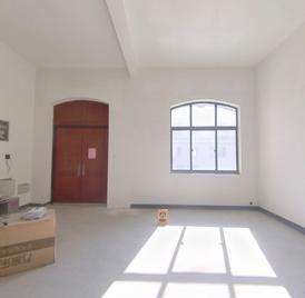 半岛一号梵高岛 5室2厅260m²毛坯