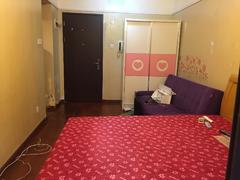 万科红一二期 1室0厅30.55m²整租