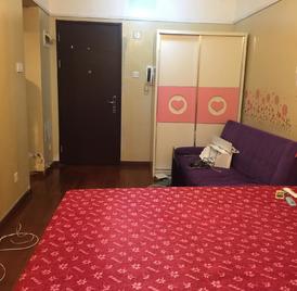万科红一二期 1室0厅30.55m²整租