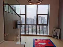 龙岗仁恒梦公园 1室1厅36.35m²整租