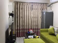 大冲新城花园C区 2室1厅60m²整租
