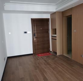 龙城金地中心 1室1厅45m²整租
